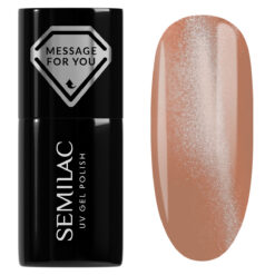 733 Creamy Praline Gloss 7 ml